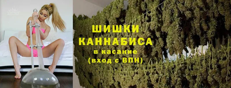 Марихуана конопля  продажа наркотиков  Курчалой 